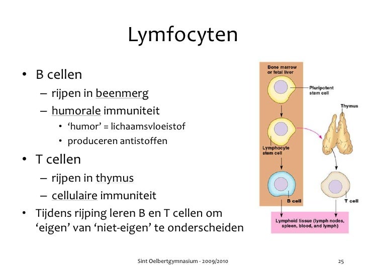 Hoofdstuk 36 - Audesirk