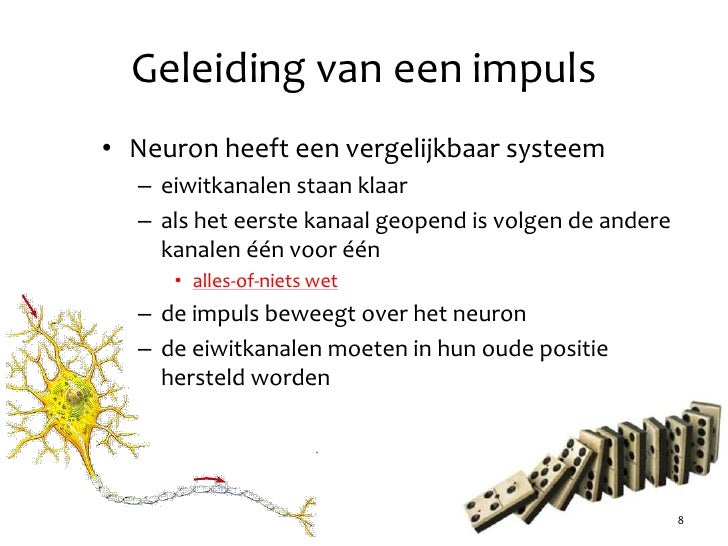 Hoofdstuk 38 - Audesirk