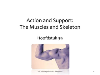 Action and Support:The Muscles and Skeleton Hoofdstuk 39 Sint Oelbertgymnasium - 2009/2010 1 