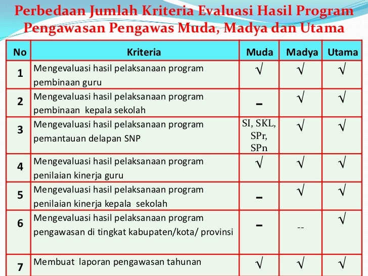 PKPS - EVALUASI PELAKSANAAN PROGRAM PENGAWASAN