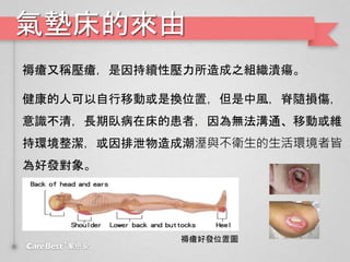 洲ā
쯏ַQmԉ֮M
˿ƄӻǓQλãLSp
R壬LPڴĻߣoͨƄӻS
֭hйɳclh߽
ðl
쯏ðlλÈD
 