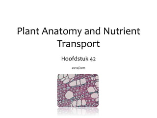 Plant Anatomy and Nutrient
Transport
Hoofdstuk 42
2010/2011
 