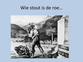 Wie stout is de roe…
 