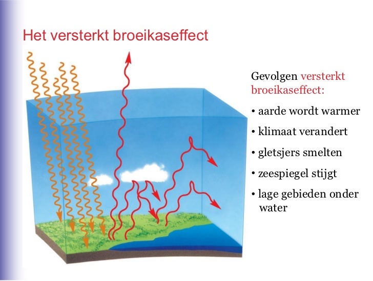 H5 draagkracht wereld 2 kgt par 2 3