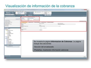 Visualización de información de la cobranza 
Se muestra la página Informacion de Cobranza. La página 
incluye dos secciones: 
•Sección del encabezado 
•Pestañas, mostrando información adicional. 
 