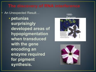 • An Unexpected Result…
• petunias
surprisingly
developed areas of
hypopigmentation
when transduced
with the gene
encoding an
enzyme required
for pigment
synthesis.
1990-
Petunias
 
