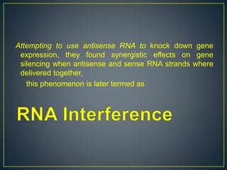 Attempting to use antisense RNA to knock down gene
expression, they found synergistic effects on gene
silencing when antisense and sense RNA strands where
delivered together,
this phenomenon is later termed as
 