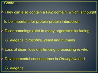 Contd…..
They can also contain a PAZ domain, which is thought
to be important for protein-protein interaction.
Dicer homologs exist in many organisms including
C. elegans, Drosphila, yeast and humans
Loss of dicer: loss of silencing, processing in vitro
Developmental consequence in Drosophila and
C. elegans
 