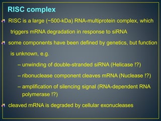 RISC complex
RISC is a large (~500-kDa) RNA-multiprotein complex, which
triggers mRNA degradation in response to siRNA
some components have been defined by genetics, but function
is unknown, e.g.
– unwinding of double-stranded siRNA (Helicase !?)
– ribonuclease component cleaves mRNA (Nuclease !?)
– amplification of silencing signal (RNA-dependent RNA
polymerase !?)
cleaved mRNA is degraded by cellular exonucleases
 