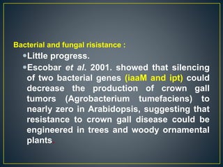 Bacterial and fungal risistance :
Little progress.
Escobar et al. 2001. showed that silencing
of two bacterial genes (iaaM and ipt) could
decrease the production of crown gall
tumors (Agrobacterium tumefaciens) to
nearly zero in Arabidopsis, suggesting that
resistance to crown gall disease could be
engineered in trees and woody ornamental
plants.
 