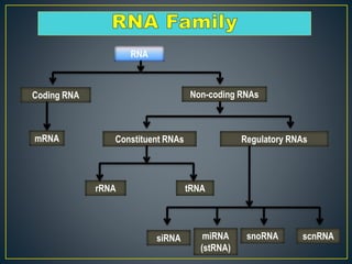 scnRNA
Constituent RNAs
tRNA
Regulatory RNAs
rRNA
Non-coding RNAs
RNA
mRNA
Coding RNA
miRNA
(stRNA)
siRNA snoRNA
 