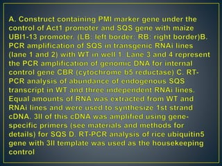 RNAi – Mechanism and Its Application In Crop Improvement