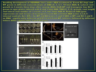RNAi – Mechanism and Its Application In Crop Improvement
