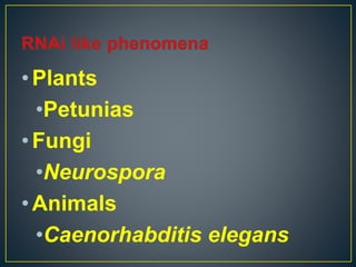 •Plants
•Petunias
•Fungi
•Neurospora
•Animals
•Caenorhabditis elegans
 
