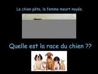 Le chien pète, la femme meurt noyée.
Quelle est la race du chien ??