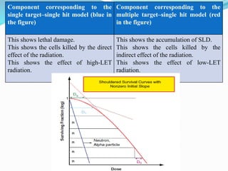 Component corresponding to the
single target–single hit model (blue in
the figure)
Component corresponding to the
multiple target–single hit model (red
in the figure)
This shows lethal damage.
This shows the cells killed by the direct
effect of the radiation.
This shows the effect of high-LET
radiation.
This shows the accumulation of SLD.
This shows the cells killed by the
indirect effect of the radiation.
This shows the effect of low-LET
radiation.
 