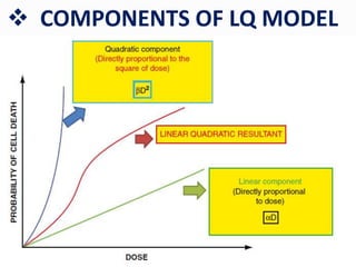  COMPONENTS OF LQ MODEL
 