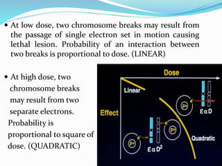  At low dose, two chromosome breaks may result from
the passage of single electron set in motion causing
lethal lesion. Probability of an interaction between
two breaks is proportional to dose. (LINEAR)
 At high dose, two
chromosome breaks
may result from two
separate electrons.
Probability is
proportional to square of
dose. (QUADRATIC)
 