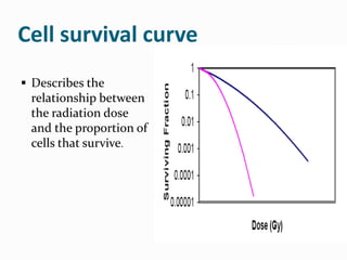 Cell survival curve
 Describes the
relationship between
the radiation dose
and the proportion of
cells that survive.
 