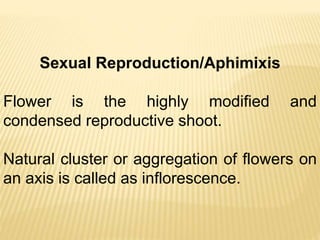 Chap_1_Reproduction_in_Lower_and_Higher_plants.pptx