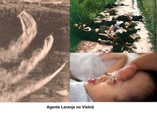 Agente Laranja no Vietnã 