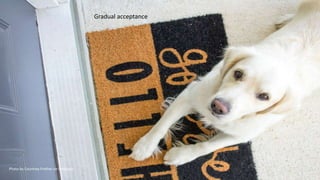 Photo by Courtney Prather on Unsplash
Gradual acceptance
 