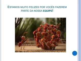 Integracao skycompany