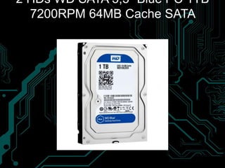 2 HDs WD SATA 3,5´ Blue PC 1TB
7200RPM 64MB Cache SATA
6.0Gb/s
 