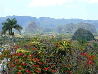 Cuba ainda parada no tempo