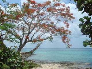 Cuba ainda parada no tempo