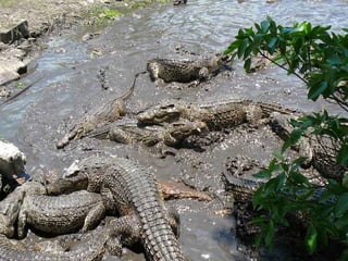 Cuba ainda parada no tempo