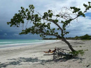 Cuba ainda parada no tempo