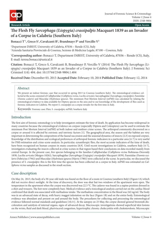 Annex Publishers | www.annexpublishers.com 
Volume 1 | Issue 4Abstract 
We present an indoor forensic case that occurred in spring 2013 in Cosenza (southern Italy). The entomological evidence collected at the scene consisted of Calliphoridae (Calliphora vicina, Lucilia sericata), Sarcophagidae (Sarcophaga crassipalpis), Fanniidae (Fannia scalaris) and Muscidae (Hydrotaea ignava). The minimum Post Mortem Interval (mPMI) was calculated by relating the entomological evidence to data available for Diptera species in the area and to our knowledge of the development of flies used as forensic indicators in Calabria. We report S. crassipalpis as a corpse invader for the first time in Italy. Introduction 
The Flesh Fly Sarcophaga (Liopygia) crassipalpis Macquart 1839 as an Invader of a Corpse in Calabria (Southern Italy) 
Bonacci T*1, Greco S1, Cavalcanti B2, Brandmayr P1 and Vercillo V2 
1Department DiBEST, University of Calabria, 87036 – Rende (CS), Italy 
2Azienda Sanitaria Provinciale di Cosenza, Sezione di Medicina Legale, 87100 – Cosenza, Italy 
*Corresponding author: Bonacci T, Department DiBEST, University of Calabria, 87036 – Rende (CS), Italy, E-mail: teresa.bonacci@unical.it 
Citation: Bonacci T, Greco S, Cavalcanti B, Brandmayr P, Vercillo V (2014) The Flesh Fly Sarcophaga (Liopygia) crassipalpis Macquart 1839 as an Invader of a Corpse in Calabria (Southern Italy). J Forensic Sci Criminol 1(4): 404. doi: 10.15744/2348-9804.1.404 
Research Article 
Open Access 
Volume 1 | Issue 4 
Journal of Forensic Science & Criminology 
Keywords: Forensic case; Flies; S. crassipalpis; mPMI; Southern Italy 
The first aim of forensic entomology is to help investigators estimate the time of death. Its application has become widespread in many countries because the entomological evidence on corpses (especially Diptera and Coleoptera) can be used to estimate the minimum Post Mortem Interval (mPMI) at both indoor and outdoor crime scenes. The arthropod community discovered on a corpse or around it is affected by extrinsic and intrinsic factors [1]. The geographical area, the season and the habitat are very important in determining the composition of the faunal succession and the seasonal dynamics of insects [2,3] on exposed corpses. Knowledge of the distribution and ecological preferences of arthropod forensic indicators in a particular area [4-7] is very useful for PMI estimation and crime scene analysis. In particular, synanthropic flies, the most accurate indicators of the time of death, have been recognized on human corpses in many countries [8,9]. Until recent investigations in Calabria, southern Italy [4-7], investigators evaluating the insects collected at crime scenes in that region based their conclusions on data recorded mainly from central Europe. In the present case, five species belonging to the families Calliphoridae (Calliphora vicina Robineau-Desvoidy 1830, Lucilia sericata (Meigen 1826)), Sarcophagidae (Sarcophaga (Liopygia) crassipalpis Macquart 1839), Fanniidae (Fannia scalaris (Fabricius 1794)) and Muscidae (Hydrotaea ignava (Harris 1780)) were collected at the scene. In particular, we discussed the presence of S. crassipalpis: this is the first time the species has been collected on a corpse in Italy. mPMI was estimated on Calliphora vicina samples as discussed in the result section. 
On May 24, 2013, the body of a 50-year-old male was found on the floor of a room in Cosenza (southern Italy) (Figure 1A) which did not receive direct sunlight. At the time of discovery, the door was shut but two windows of the apartment were open. The temperature in the apartment when the corpse was discovered was 22.5 °C. The cadaver was found in a supine position dressed in a shirt and trousers. The feet were completely bare. Medical evidence and a toxicological analysis carried out on the cardiac blood confirmed that death was associated with methadone intake. The methadone concentration in the blood was 242 ng/ml. The body was in an advanced state of decay, with heavy maggot infestation on the face (Figure 1B) and on the entire body. Entomological evidence was abundant and present on and around the body. The procedures for collecting and processing the entomological evidence followed normal standards and guidelines [10,11]. At the autopsy on 25 May, the corpse showed general brownish discoloration and autolysis of internal organs, signs of advanced decay. Macroscopic investigations showed superficial skin lesions on the wrists, fluid and dark blood, plurivisceral congestion, hypertrophic chronic cholecystitis with cholesterolosis. Microscopic Case description 
Received Date: December 03, 2013 Accepted Date: February 10, 2014 Published Date: February 12, 2014 
ISSN: 2348-9804  