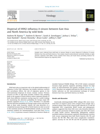 Dispersal of H9N2 inﬂuenza A viruses between East Asia
and North America by wild birds
Andrew M. Ramey a,n
, Andrew B. Reeves a
, Sarah A. Sonsthagen a
, Joshua L. TeSlaa b
,
Sean Nashold b
, Tyrone Donnelly a
, Bruce Casler c
, Jeffrey S. Hall b
a
US Geological Survey, Alaska Science Center, 4210 University Drive, Anchorage, AK, USA
b
US Geological Survey, National Wildlife Health Center, 6006 Schroeder Road, Madison, WI, USA
c
US Fish and Wildlife Service, Izembek National Wildlife Refuge, P. O. Box 127, Cold Bay, AK, USA
a r t i c l e i n f o
Article history:
Received 30 January 2015
Returned to author for revisions
9 March 2015
Accepted 10 March 2015
Keywords:
Alaska
Anas acuta
Avian inﬂuenza
Chen canagica
China
East Asia
Emperor goose
Inﬂuenza A virus
North America
Northern pintail
South Korea
a b s t r a c t
Samples were collected from wild birds in western Alaska to assess dispersal of inﬂuenza A viruses
between East Asia and North America. Two isolates shared nearly identical nucleotide identity at eight
genomic segments with H9N2 viruses isolated from China and South Korea providing evidence for
intercontinental dispersal by migratory birds.
Published by Elsevier Inc.
Introduction
Wild birds play an important role in the global epidemiology of
inﬂuenza A virus (IAV) infections, but despite extensive research
and surveillance efforts, the role of migratory species in the
intercontinental dispersal of viruses remains unclear. Previous
research on IAVs in wild birds provides evidence that sampling
birds at the margins of North America where migratory ﬂyways of
birds from different continents overlap may be a useful strategy
for maximizing the detection probability for foreign origin IAV
genomic segments (Pearce et al., 2009). Therefore, it is plausible
that the detection probability for foreign origin viruses may also be
high at these same locations. Indeed, the only detection of a
completely Eurasian lineage IAV in North America to date occurred
in the maritime province of Newfoundland, Canada, an area with
extensive evidence for interhemispheric viral gene ﬂow (Huang
et al., 2014). In previous research conducted in western Alaska at
Izembek National Wildlife Refuge, 70% of IAV isolates contained
Eurasian origin genomic segments providing evidence for high
levels of intercontinental viral genetic exchange (Ramey et al.,
2010). Therefore, we sampled wild birds for IAVs at this site to gain
further inference on the intercontinental exchange of viruses
between East Asia and North America via Alaska.
Results and discussion
Genetically indistinguishable H9N2 subtype IAVs were recov-
ered from an emperor goose (Chen canagica) fecal sample and a
northern pintail (Anas acuta) cloacal swab collected on 23 and 30
September 2011, respectively. BLAST results and phylogenetic
analyses suggested that these IAVs were only distantly related to
H9N2 viruses previously isolated in poultry and other IAV strains
of public health concern. Additionally, phylogenetic analyses
provided evidence that genomic segments shared genetic ancestry
with viruses originating from both North America (NS, PA) and
Eurasia (M, NP, PB1, PB2) with more complicated, transhemi-
spheric ancestry for the HA H9 and NA N2 genomic segments
Contents lists available at ScienceDirect
journal homepage: www.elsevier.com/locate/yviro
Virology
http://dx.doi.org/10.1016/j.virol.2015.03.028
0042-6822/Published by Elsevier Inc.
n
Corresponding author. Tel.: þ1 907 786 7174; fax: þ1 907 786 7021.
E-mail address: aramey@usgs.gov (A.M. Ramey).
Virology 482 (2015) 79–83
 