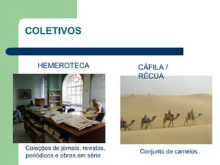 Coleções de jornais, revistas,
periódicos e obras em série
HEMEROTECA
COLETIVOS
CÁFILA /
RÉCUA
Conjunto de camelos
 
