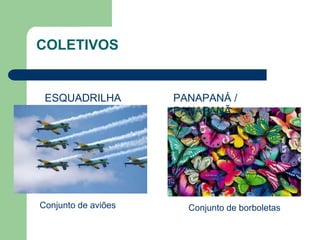 ESQUADRILHA
Conjunto de aviões
PANAPANÁ /
PANAPANÃ
Conjunto de borboletas
COLETIVOS
 