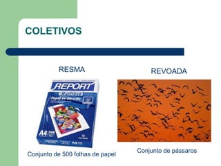 RESMA
Conjunto de 500 folhas de papel
REVOADA
Conjunto de pássaros
COLETIVOS
 