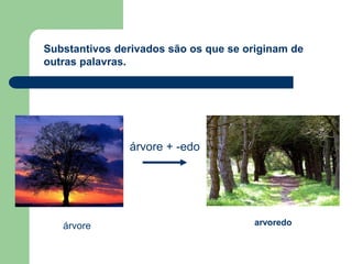 árvore arvoredo
Substantivos derivados são os que se originam de
outras palavras.
árvore + -edo
 