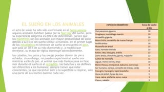 EL SUEÑO EN LOS ANIMALES
el acto de soñar ha sido sólo confirmado en el homo sapiens.
algunos animales también pasan por la fase mor del sueño, pero
su experiencia subjetiva es difícil de determinar. parece que
los mamíferos son los animales con mayor probabilidad de soñar
debido a su ciclo del sueño similar al humano. en el primer lugar
de las estadísticas en términos de sueño se encuentra el gato,
que pasa un 70 % de su vida durmiendo y, a medida que
envejece, su etapa de vigilia disminuye ostensiblemente.
los caballos, los patos y las ovejas pueden dormir de pie o
echados. sin embargo, no pueden experimentar sueño mor
mientras están de pie. el animal que más tiempo pasa en fase
mor durante el sueño es el armadillo. las ballenas y los delfines
son diferentes a los humanos: siempre tienen que estar
conscientes, ya que necesitan salir a la superficie a respirar, solo
una parte de su cerebro duerme cada vez.
 