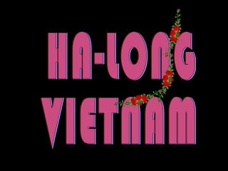 HA-LONG VIETNAM 