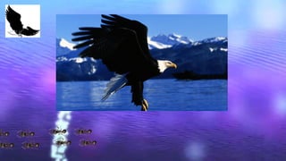 Need pic of eagle, ants
 