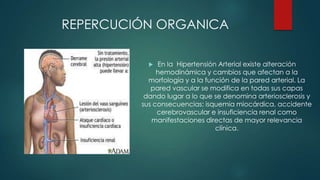 REPERCUCIÓN ORGANICA
En la Hipertensión Arterial existe alteración
hemodinámica y cambios que afectan a la
morfología y a la función de la pared arterial. La
pared vascular se modifica en todas sus capas
dando lugar a lo que se denomina arteriosclerosis y
sus consecuencias: isquemia miocárdica, accidente
cerebrovascular e insuficiencia renal como
manifestaciones directas de mayor relevancia
clínica.


 
