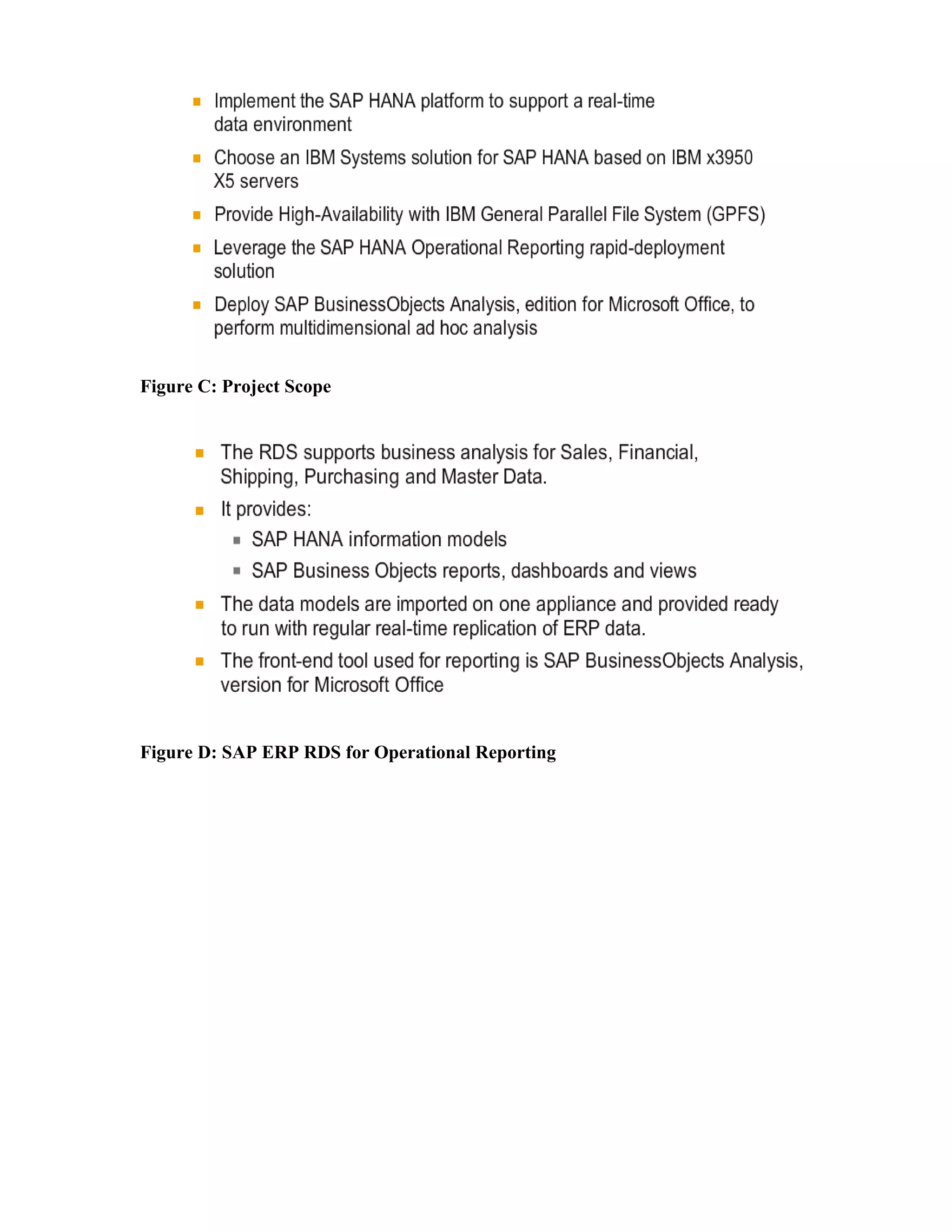 Figure C: Project Scope
Figure D: SAP ERP RDS for Operational Reporting
 