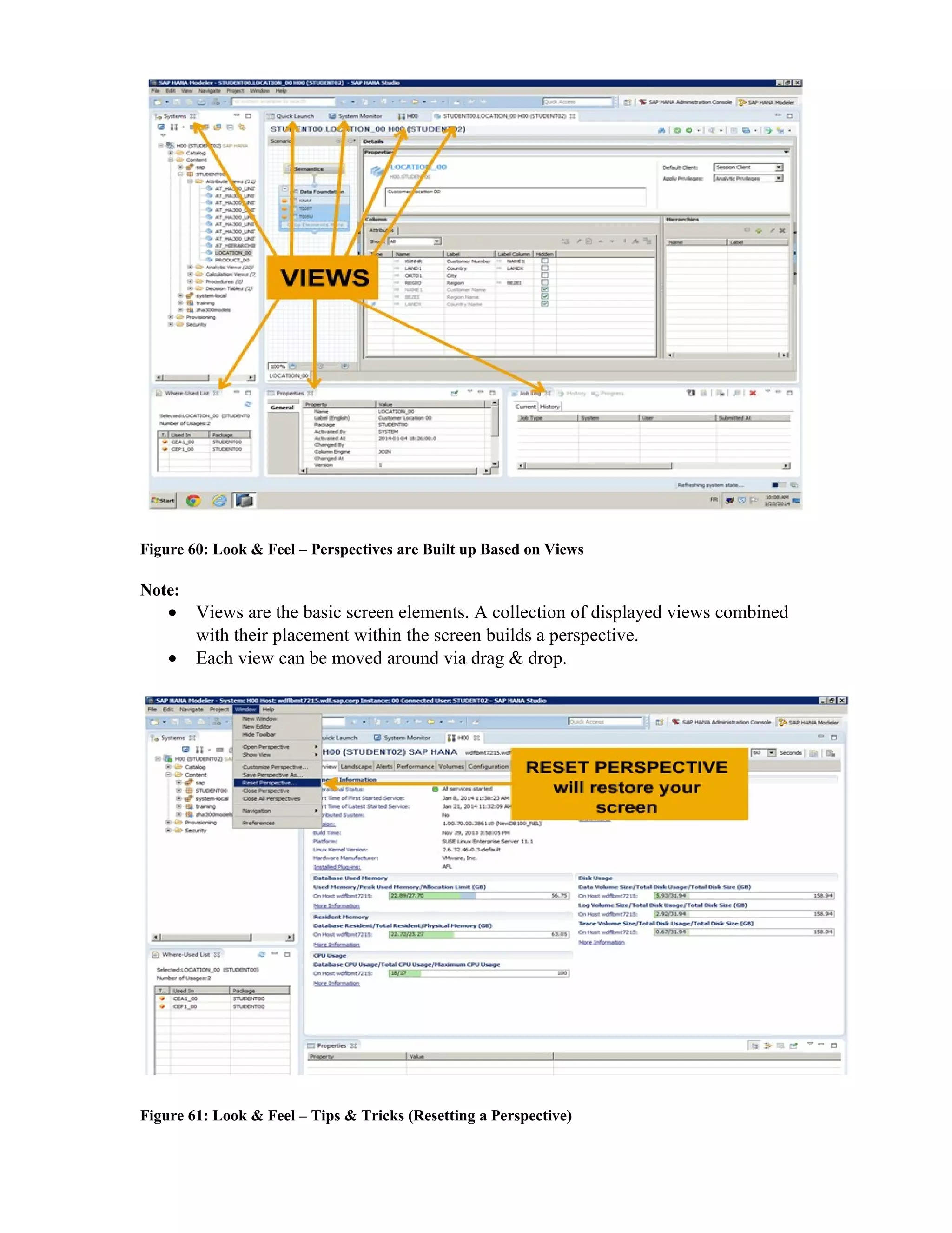 Figure 60: Look & Feel – Perspectives are Built up Based on Views
Note:
• Views are the basic screen elements. A collection of displayed views combined
with their placement within the screen builds a perspective.
• Each view can be moved around via drag & drop.
Figure 61: Look & Feel – Tips & Tricks (Resetting a Perspective)
 
