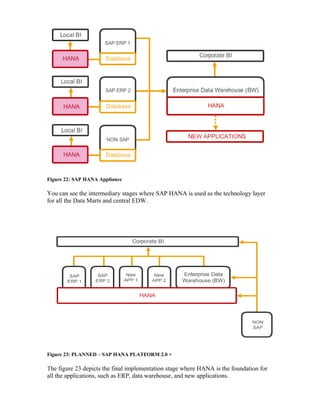 Figure 22: SAP HANA Appliance
You can see the intermediary stages where SAP HANA is used as the technology layer
for all the Data Marts and central EDW.
Figure 23: PLANNED – SAP HANA PLATFORM 2.0 +
The figure 23 depicts the final implementation stage where HANA is the foundation for
all the applications, such as ERP, data warehouse, and new applications.
 