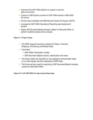 Figure C: Project Scope
Figure D: SAP ERP RDS for Operational Reporting
 