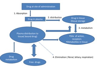 Drug at site of administration
Drug in plasma Drug in tissue
(tissue storage
Plasma distribution to
tissue( bound drug) Site of action,
receptors
Metabolites in tissue
1. Absorption
2. distribution
3. metabolism
4. Elimination ( Renal, biliary, respiration)
Free- drugs
Drug
metabolism
 
