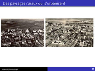 Université Constantine 3 59
Des paysages ruraux qui s’urbanisent
 