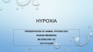 HYPOXIA
PRESENTATION OF ANIMAL PHYSIOLOGY
RASHID MEHMOOD
BS ZOOLOGY (V)
15171514-055
 