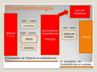 Physiopathologie                                         Toxicité
                                                         hépatique


              NAD    NADH

               OH DSHase
                                                NAD   NADH
                              Accumulation
 Ethanol     NADP   NADPH     Acétaldéhyde      Aldéhyde
 ++++                                           DHSase         Acétate
                 MEOS            TOXIQUE


               Catalase



I. l'oxydation de l'éthanol en acétaldéhyde
                                              II. Oxydation de
                                              l’acétaldéhyde en acétate
 